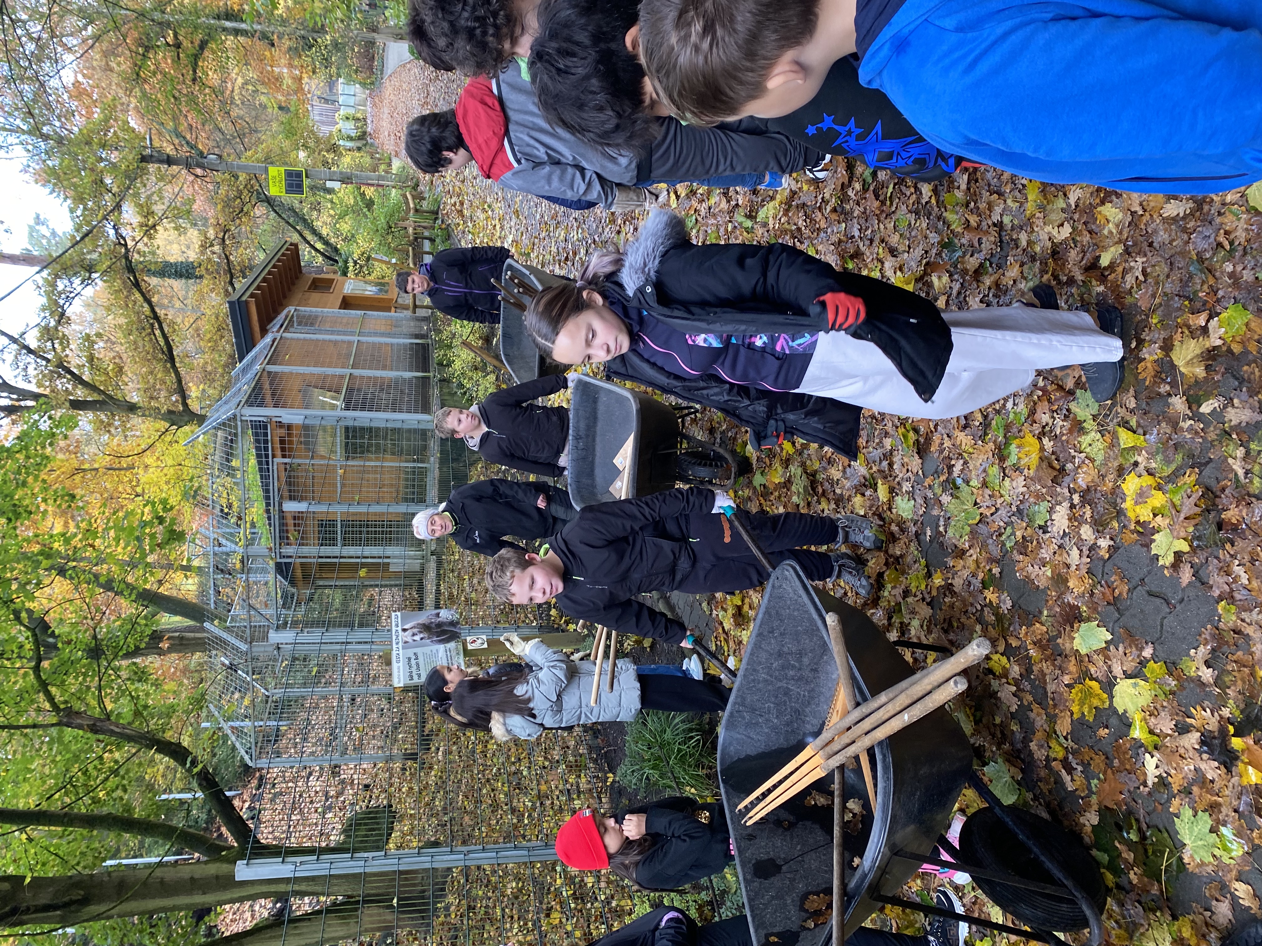 Děti ze školního klubu pomáhaly v zoo Děčín 2025