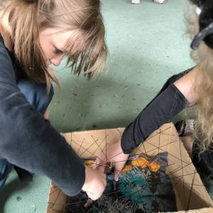 IMG_20251024_140008_original