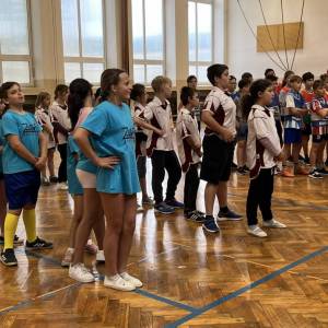 minihazena_nast_original