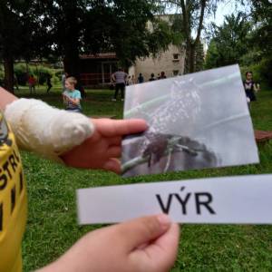 20250606_191426_original